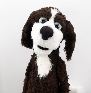 Help Us Name Our New Educational Puppet!